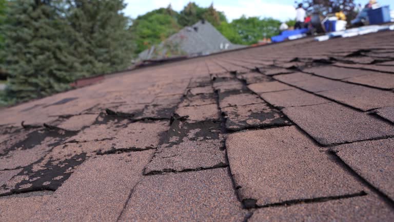 Best Rubber Roofing (EPDM, TPO)  in Trail Creek, IN