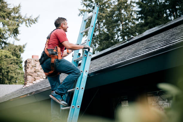Best Green or Eco-Friendly Roofing Solutions  in Trail Creek, IN